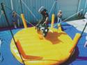 Bungee Bull