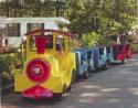 Trackless Train