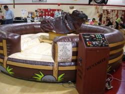 Mechanical Bull