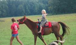 Pony Rides