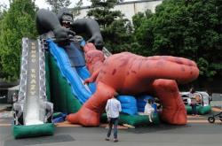 King Kong Crazy 3 Lane slide